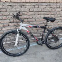 دوچرخه اصلی ویوا