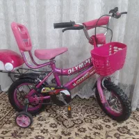 دوچرخه ۱۲ صورتی