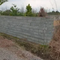 زمین باغی (ملک شخصی)|فروش زمین و ملک کلنگی|آمل, |دیوار