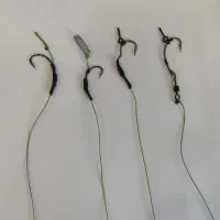 ریسه کپوری و امور