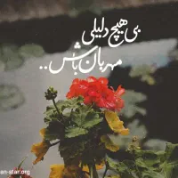 نیازمند پرستار خانم