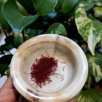 زعفران|خوردنی و آشامیدنی|تهران, دانشگاه شریف|دیوار