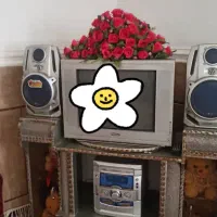 چند قلم کالا