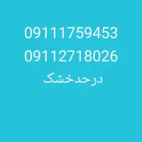 09111759453