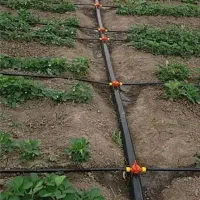 لوله کشی آبیاری قطره ای هنرمند