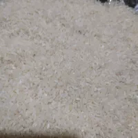 برنج زیرکانکا یا لاشه علی کاظمی بشرط پخت