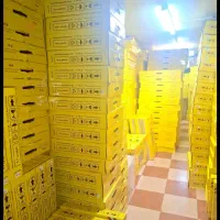 فروش انواع رادیات سبک و سنگین