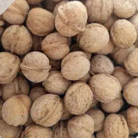 گردوی مغز سفید روغنی خوشمزه|خوردنی و آشامیدنی|صوفیان, |دیوار