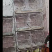 عنوان قفس پرنده|لوازم جانبی حیوانات|بوشهر, |دیوار