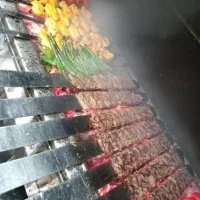 کبابزن وشاطر