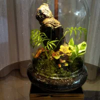 تراریومهای خاص|صنایع دستی و سایر لوازم تزئینی|مشهد, امیریه|دیوار