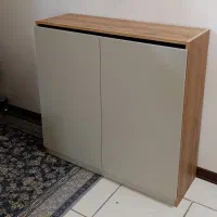 جاکفشی سالم ونو