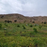 فروش-زمین-و-معاوضه