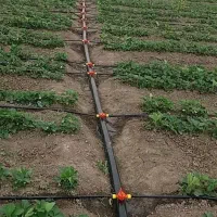 ابیاری قطره ای|خدمات باغبانی و درختکاری|اراک, |دیوار