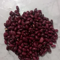 فروش لوبیا