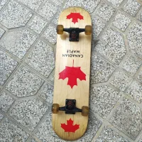 اسکیت برد حرفه ای