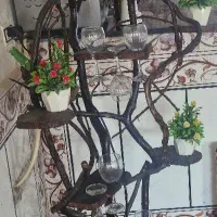 درختچه