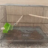 قفس غلامی سایز بزرگ