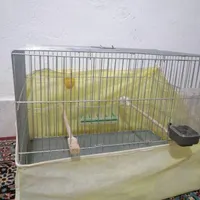 قفس پرنده ،دوعدد