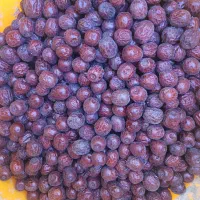 عناب درشت|خوردنی و آشامیدنی|تهران, مختاری|دیوار