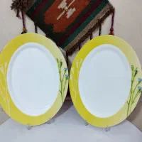 ارکوپال ویکتوریا دافنه ویتا الیزگمت|ظروف سرو و پذیرایی|اندیشه, اندیشه فاز ۲|دیوار