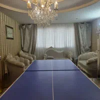 میز پینگ پنگ