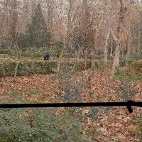 شهرک اکباتان  فاز یک  3 خوابه