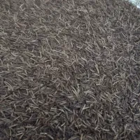 قالی تمیز ونو