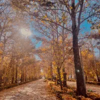 عکاسی پاییزه ویژه ابان ماه (با چاپ عکس ها و ویدیو)