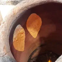 شاطر و نوندرار تنوری  تربتی. کاشمری . پنجکش .