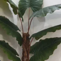 درختچه مصنوعی