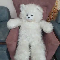 خرس بزرگ