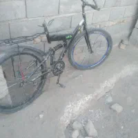 دوچرخه برای مرغ یا کفتر