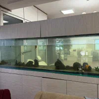 نصب و خدمات آکواریم|ماهی|تهران, امیرآباد|دیوار