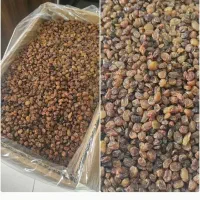 کشمش پلویی کارتنی