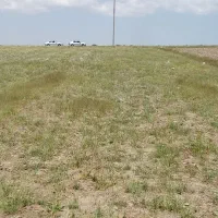 زمین باغی1800مترلب جاده معامله میکنم|فروش زمین و ملک کلنگی|قره پشتلو, |دیوار