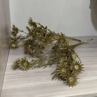 گل خشک مصنوعی نو