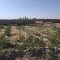 فروش زمین مناسب گاوداری،گلخانه،اسطبل،گلخانه|فروش زمین و ملک کلنگی|رفسنجان, |دیوار