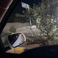 جا-خونه-بلوار-ولیعصر-دو-نبش