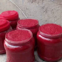 رب خانگی و قرمه سبزی و ترشیجات و بادمجان سرخ کباب|خوردنی و آشامیدنی|تهران, مشیریه|دیوار