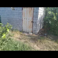 فروش-باغ-مرکبات-در-بهنمیر