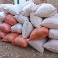 کاه گندم دیم سفیدونرم شلیت گرفته