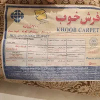 قالی ۱۲ متری و قالی راهرویی|فرش|شیراز, انجیر|دیوار