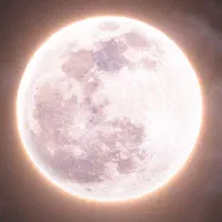 بلودوست داشتنی