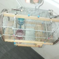 قفس تله دار دست باف|لوازم جانبی حیوانات|ملایر, |دیوار