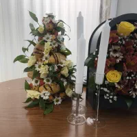 دو عد گل باکس طبیعی به قیمت خیلی مناسب فوری