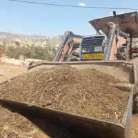 ۰۰۰۰|خدمات باغبانی و درختکاری|دوگنبدان, |دیوار