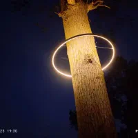 برقکاری تخصصی ویلا و ساختمان|خدمات پیشه و مهارت|لاهیجان, یحی آباد|دیوار