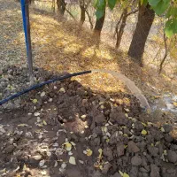 حفار چاه آب با سابقه بالا بانازلترین قیمت بیرقمشکن|خدمات پیشه و مهارت|سنندج, |دیوار