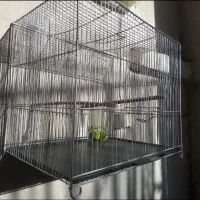 دو عدد قفس قناری تعویض و فروش|لوازم جانبی حیوانات|محمدیه-قزوین, |دیوار